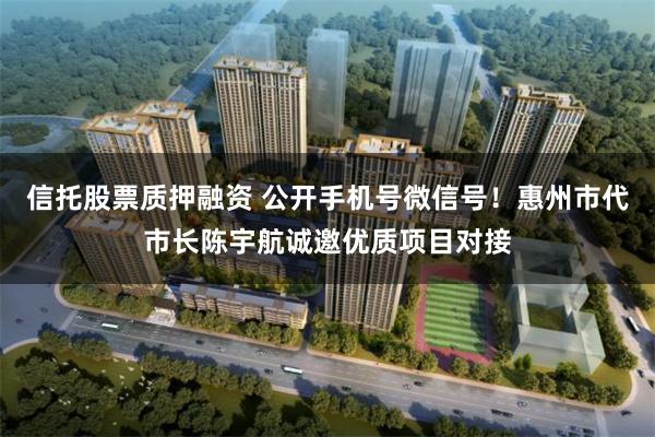 信托股票质押融资 公开手机号微信号！惠州市代市长陈宇航诚邀优质项目对接