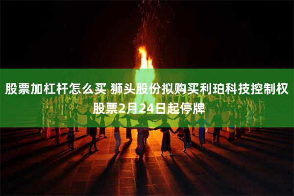 股票加杠杆怎么买 狮头股份拟购买利珀科技控制权 股票2月24日起停牌