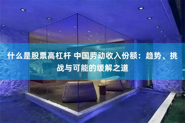 什么是股票高杠杆 中国劳动收入份额：趋势、挑战与可能的缓解之道