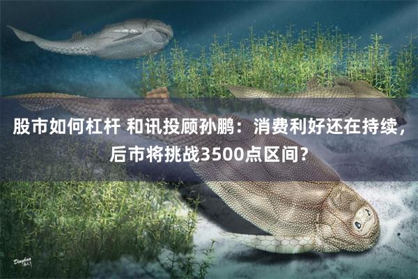 股市如何杠杆 和讯投顾孙鹏：消费利好还在持续，后市将挑战3500点区间？