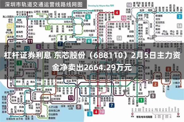 杠杆证券利息 东芯股份（688110）2月5日主力资金净卖出2664.29万元