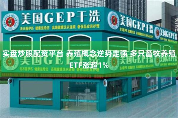 实盘炒股配资平台 养殖概念逆势走强 多只畜牧养殖ETF涨超1%