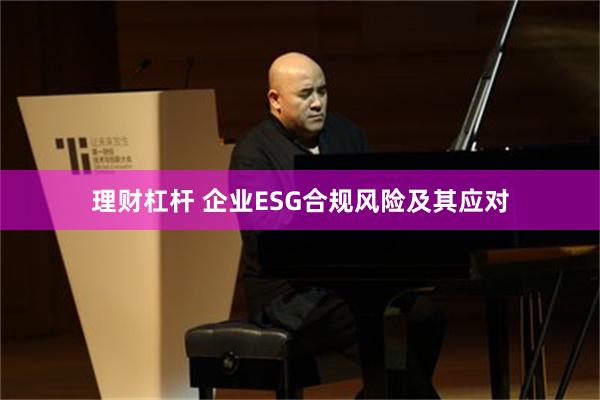 理财杠杆 企业ESG合规风险及其应对