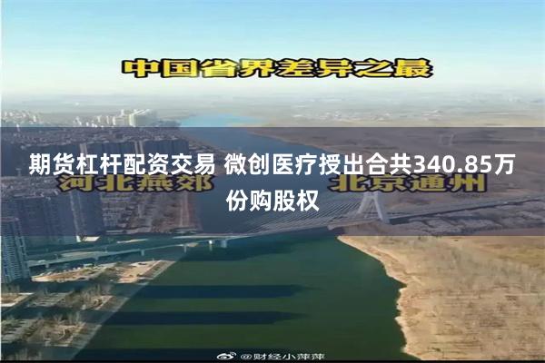 期货杠杆配资交易 微创医疗授出合共340.85万份购股权