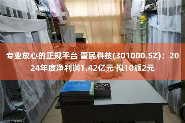 专业放心的正规平台 肇民科技(301000.SZ)：2024年度净利润1.42亿元 拟10派2元