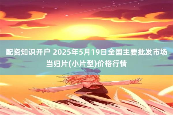 配资知识开户 2025年5月19日全国主要批发市场当归片(小片型)价格行情