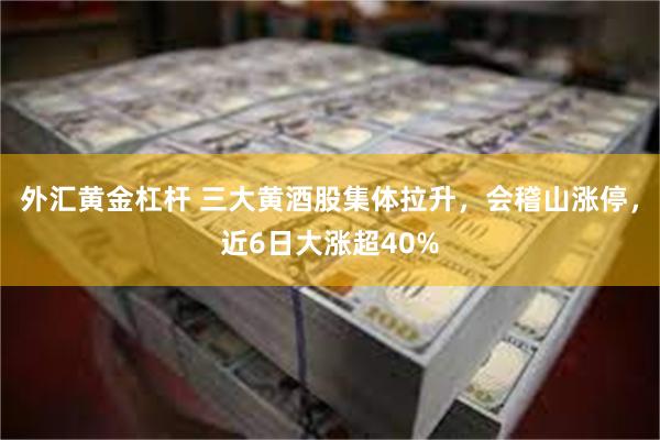 外汇黄金杠杆 三大黄酒股集体拉升，会稽山涨停，近6日大涨超40%