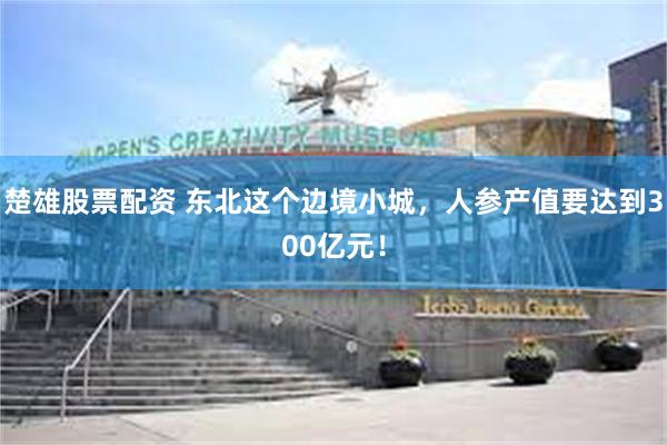 楚雄股票配资 东北这个边境小城，人参产值要达到300亿元！