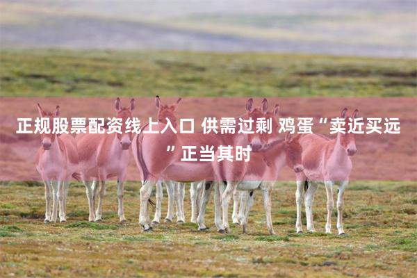 正规股票配资线上入口 供需过剩 鸡蛋“卖近买远”正当其时