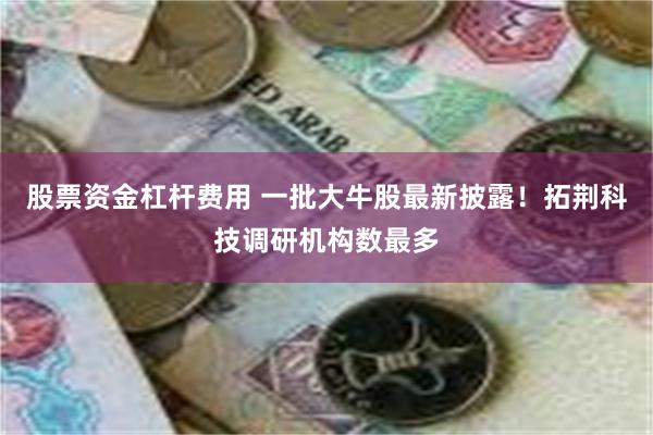 股票资金杠杆费用 一批大牛股最新披露！拓荆科技调研机构数最多