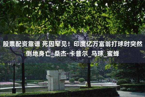 股票配资靠谱 死因罕见！印度亿万富翁打球时突然倒地身亡_桑杰·卡普尔_马球_蜜蜂
