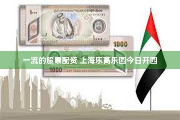 一流的股票配资 上海乐高乐园今日开园